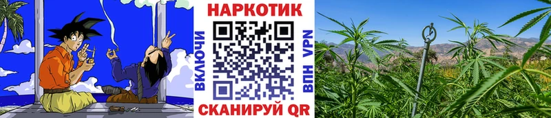 Наркошоп купить Alpha PVP  Меф  ГАШИШ  Бошки Шишки  Карасук