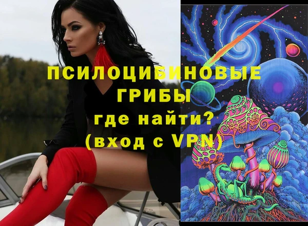ECSTASY Горняк
