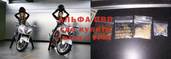 ECSTASY Горняк